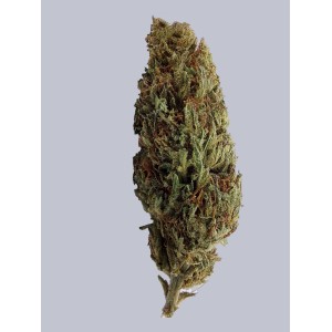 FLEUR DE CBD À FUMER SOUR KUSH