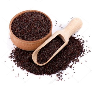 GRAINES DE MOUTARDE NOIRE 2