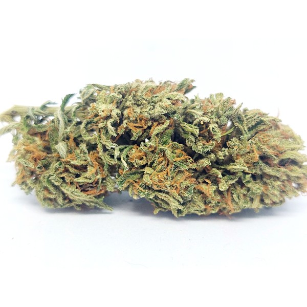 FLEUR DE CBD À FUMER ENECTALIANA