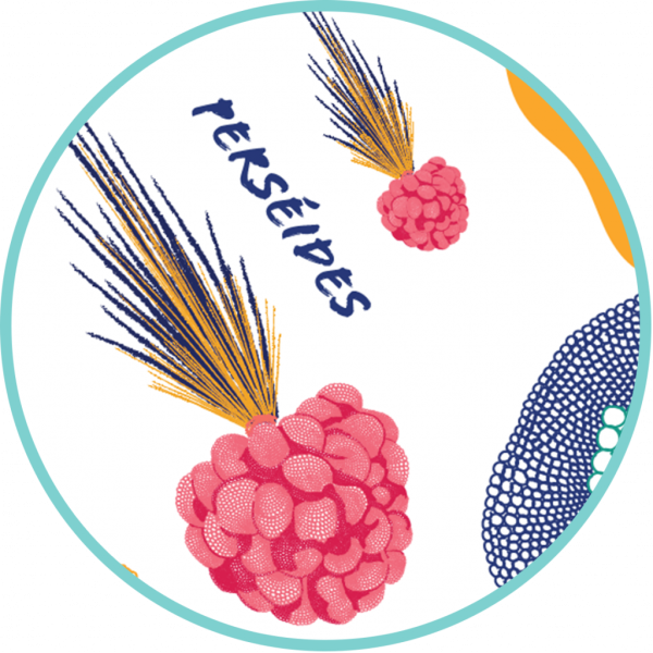 BIERE PERSEIDES ( BRASSERIE DU LOUP...