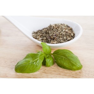 BASILIC