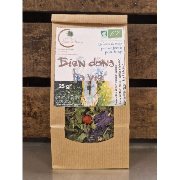 Tisane Bien dans ta vie (Graines de...