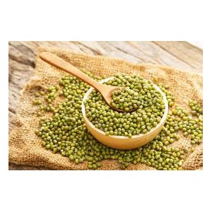 HARICOT MUNGO (Soja vert)