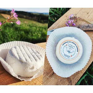 TOMME CHEVRE FRAIS