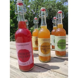 KOMBUCHA
