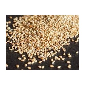 GRAINES DE SESAME