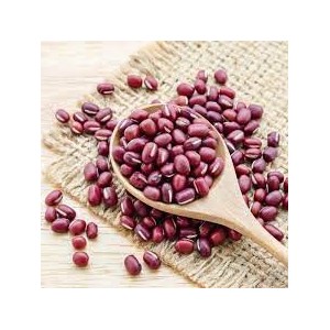 HARICOT AZUKI