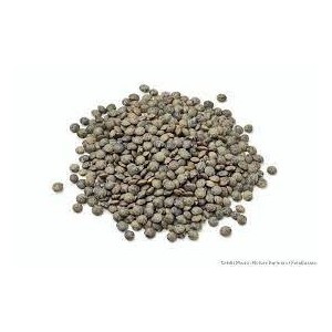 LENTILLE VERTE