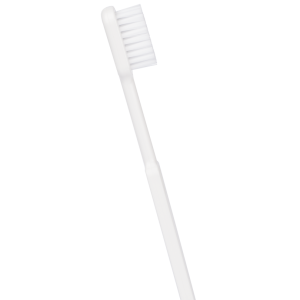 MANCHE BROSSE A DENT... 2